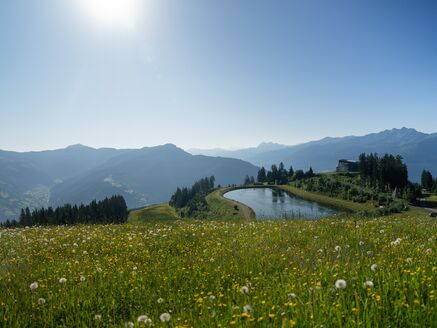 Blick auf einen Bergsee umgeben von blühender Wiese und Bergen im Hintergrund. | © mr-offenblende.at