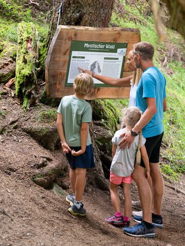 Eine Familie betrachtet die Informationstafel im Mystischen Wald. | © Schmittenhöhebahn AG/Punkt und Komma