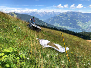 Eine Person mäht eine grasbewachsene Hangwiese in den Bergen mit einem herrlichen Ausblick auf einen See und umliegende Berge. | © Schmittenhöhebahn AG