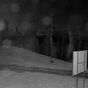 Webcam Schmitten Hochmais | © Schmittenhöhebahn AG